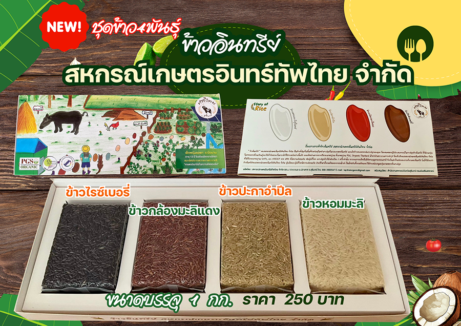 สินค้า ทัพไทย2 copy