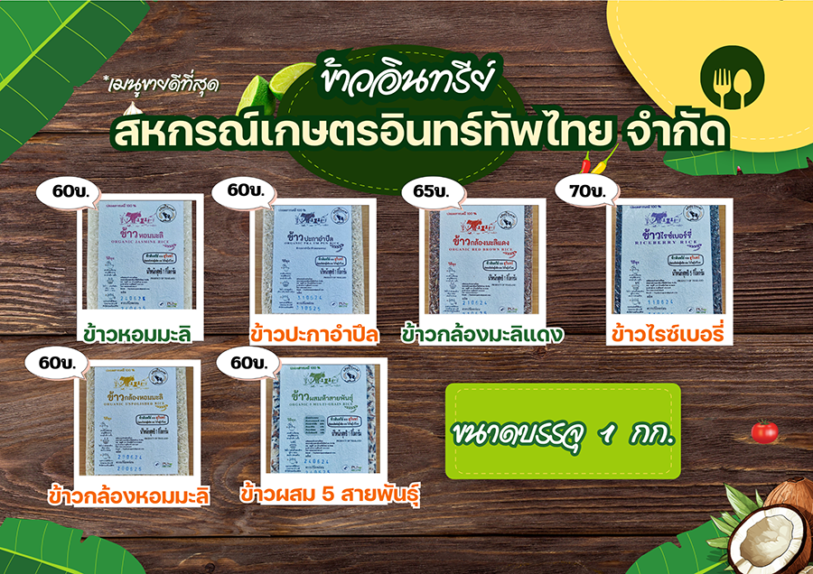 สินค้า สก ทัพไทย copy