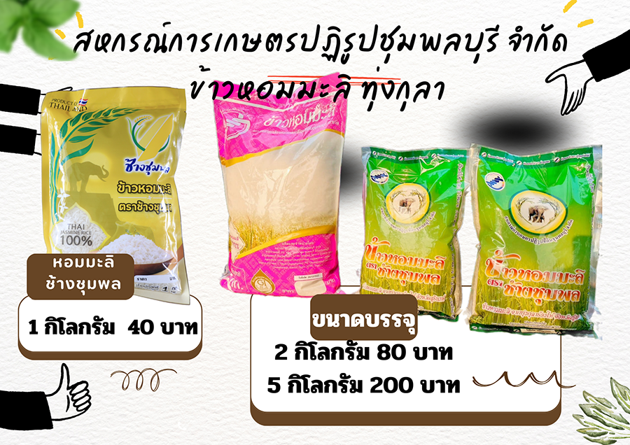 สินค้า สกป ชุมพล copy