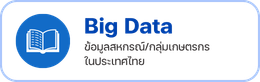 big data
