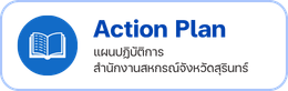 Action plan