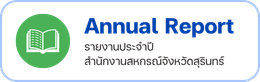 ANNUAL REPORT