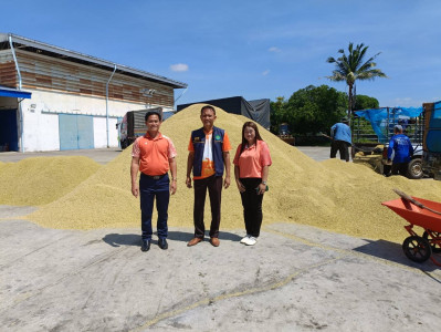 วันที่ 24 ตุลาคม 2567 ... พารามิเตอร์รูปภาพ 1