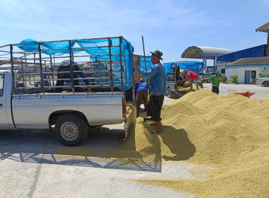 วันที่ 24 ตุลาคม 2567 ... พารามิเตอร์รูปภาพ 1