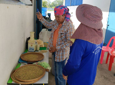 วันที่ 24 ตุลาคม 2567 ... พารามิเตอร์รูปภาพ 3