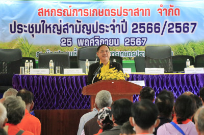 วันที่ 25 พฤศจิกายน 2567 ... พารามิเตอร์รูปภาพ 1