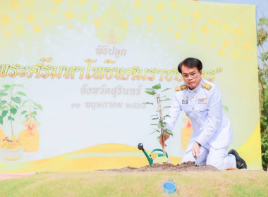 วันที่ 11 พฤษภาคม 2568 ร่วมพิธีปลูก ... พารามิเตอร์รูปภาพ 5