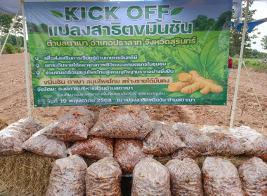 วันที่ 19 พฤษภาคม 2568 ... พารามิเตอร์รูปภาพ 1