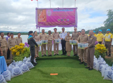 วันที่ 28 พฤษภาคม 2568 ... พารามิเตอร์รูปภาพ 4
