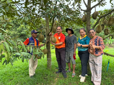 วันที่ 16 กรกฎาคม 2568 ... พารามิเตอร์รูปภาพ 1