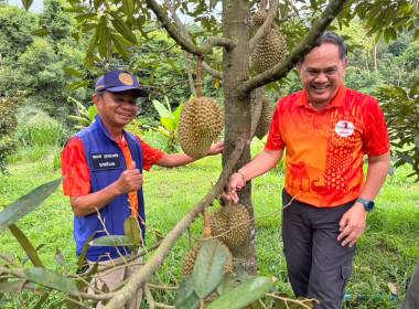 วันที่ 16 กรกฎาคม 2568 ... พารามิเตอร์รูปภาพ 2