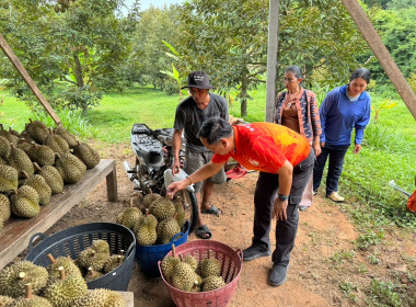 วันที่ 16 กรกฎาคม 2568 ... พารามิเตอร์รูปภาพ 4