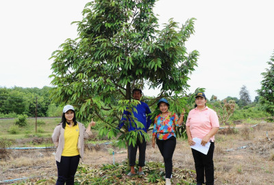 วันที่ 22 กรกฎาคม 2568 ... พารามิเตอร์รูปภาพ 1