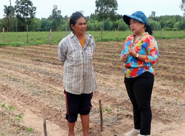 วันที่ 22 กรกฎาคม 2568 ... พารามิเตอร์รูปภาพ 1