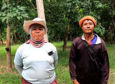 วันที่ 22 กรกฎาคม 2568 ... พารามิเตอร์รูปภาพ 3