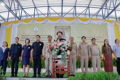 วันที่ 24 กรกฎาคม 2568 ... พารามิเตอร์รูปภาพ 1