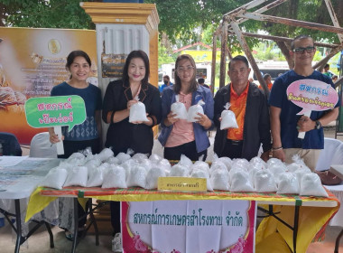 วันที่ 24 กรกฎาคม 2568 ... พารามิเตอร์รูปภาพ 2