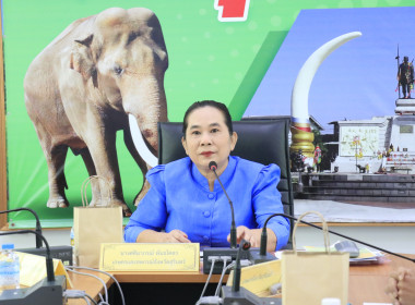 วันที่ 13 สิงหาคม 2568 ... พารามิเตอร์รูปภาพ 2