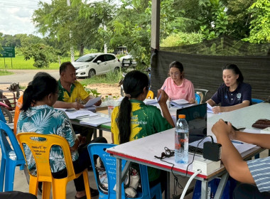 วันที่ 19 สิงหาคม 2568 ... พารามิเตอร์รูปภาพ 2