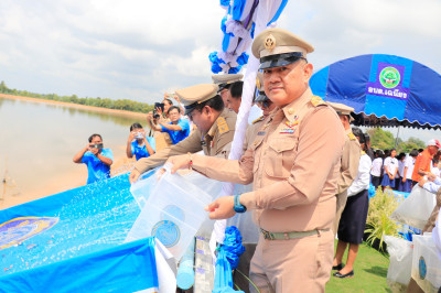 วันที่ 20 สิงหาคม 2568 ... พารามิเตอร์รูปภาพ 1