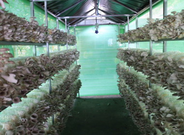 วันที่ 11 กันยายน 2568 งานวันถ่ายทอดเทคโนโลยี ... พารามิเตอร์รูปภาพ 7