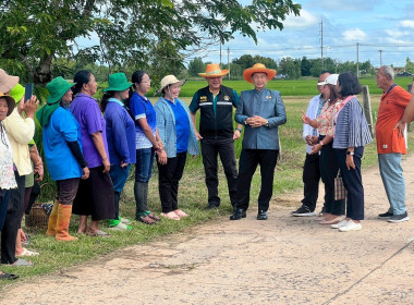 วันที่ 18 กันยายน 2568 ... พารามิเตอร์รูปภาพ 5