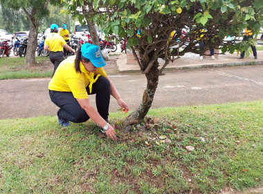 วันที่ 24 กันยายน 2568 ... พารามิเตอร์รูปภาพ 1