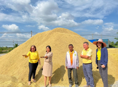 วันที่ 20 ตุลาคม 2568 ... พารามิเตอร์รูปภาพ 2