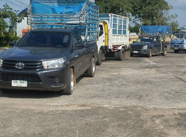 วันที่ 20 ตุลาคม 2568 ... พารามิเตอร์รูปภาพ 1