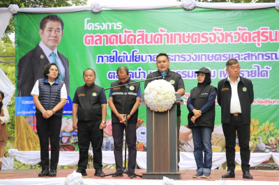 วันที่ 29 ตุลาคม 2568 ... พารามิเตอร์รูปภาพ 1