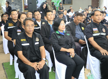 วันที่ 29 ตุลาคม 2568 ... พารามิเตอร์รูปภาพ 3