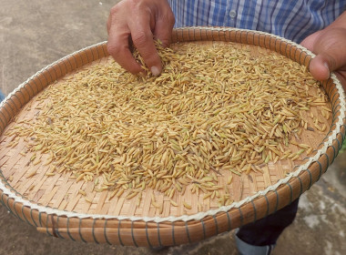 วันที่ 30 ตุลาคม 2568 เขตตรวจราชการที่ 11,13 และ 14 ... พารามิเตอร์รูปภาพ 4