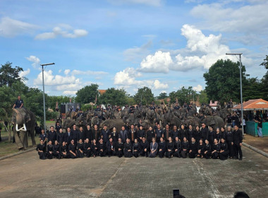 วันที่ 10 พฤศจิกายน 2568 ... พารามิเตอร์รูปภาพ 1