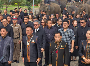 วันที่ 10 พฤศจิกายน 2568 ... พารามิเตอร์รูปภาพ 2