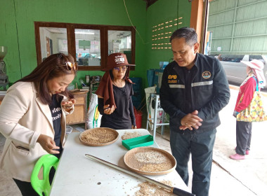 วันที่ 11 พฤศจิกายน 2568 ... พารามิเตอร์รูปภาพ 5