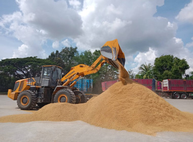 วันที่ 11 พฤศจิกายน 2568 ... พารามิเตอร์รูปภาพ 3