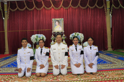 วันที่ 11 พฤศจิกายน 2568 ... พารามิเตอร์รูปภาพ 1