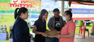 วันที่ 12 พฤศจิกายน 2568 ... พารามิเตอร์รูปภาพ 1