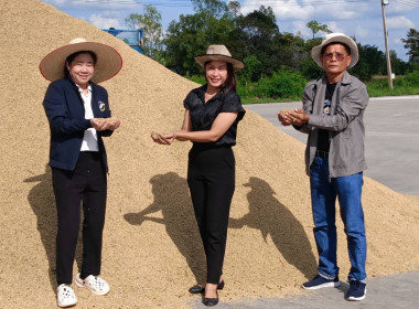 วันที่ 12 พฤศจิกายน 2568 ... พารามิเตอร์รูปภาพ 3