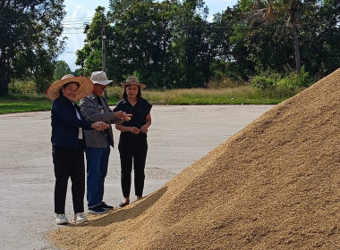 วันที่ 12 พฤศจิกายน 2568 ... พารามิเตอร์รูปภาพ 1