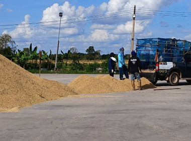 วันที่ 12 พฤศจิกายน 2568 ... พารามิเตอร์รูปภาพ 2