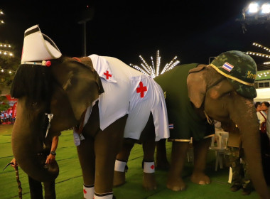  วันที่ 15 พฤศจิกายน 2568 พิธีเปิดงาน “ธ ... พารามิเตอร์รูปภาพ 3