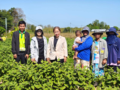 วันที่ 16 ธันวาคม 2568 ติดตามผลการดำเนินงาน รับฟังสภาพปัญหา ... พารามิเตอร์รูปภาพ 1