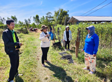 วันที่ 16 ธันวาคม 2568 ติดตามผลการดำเนินงาน รับฟังสภาพปัญหา ... พารามิเตอร์รูปภาพ 1