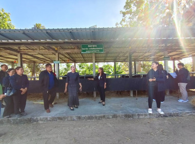 วันที่ 24 ธันวาคม 2568 ... พารามิเตอร์รูปภาพ 3