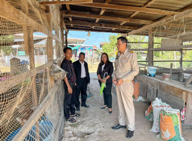 วันที่ 27 มกราคม 2569 ... พารามิเตอร์รูปภาพ 5