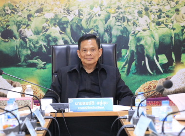 วันที่ 17 มีนาคม 2569 ... พารามิเตอร์รูปภาพ 4