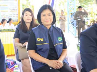 วันที่ 22 กรกฎาคม 2569 ... พารามิเตอร์รูปภาพ 3