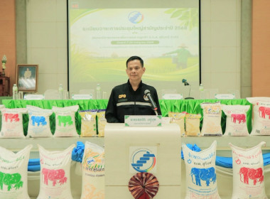 วันที่ 24 กรกฎาคม 2569 ... พารามิเตอร์รูปภาพ 1