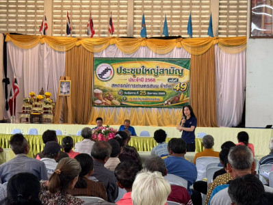 วันที่ 25 สิงหาคม 2569 ... พารามิเตอร์รูปภาพ 1